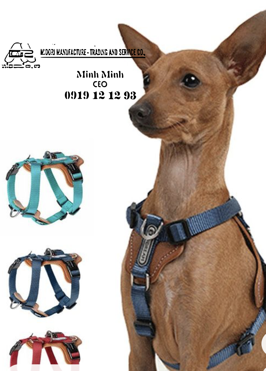 Dây đeo cổ cho chó