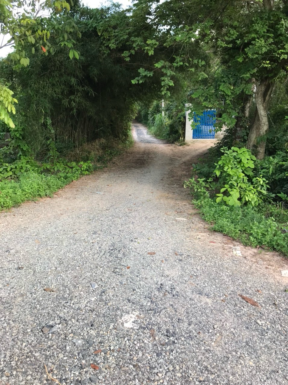 Bán đất Củ Chi, TPHCM