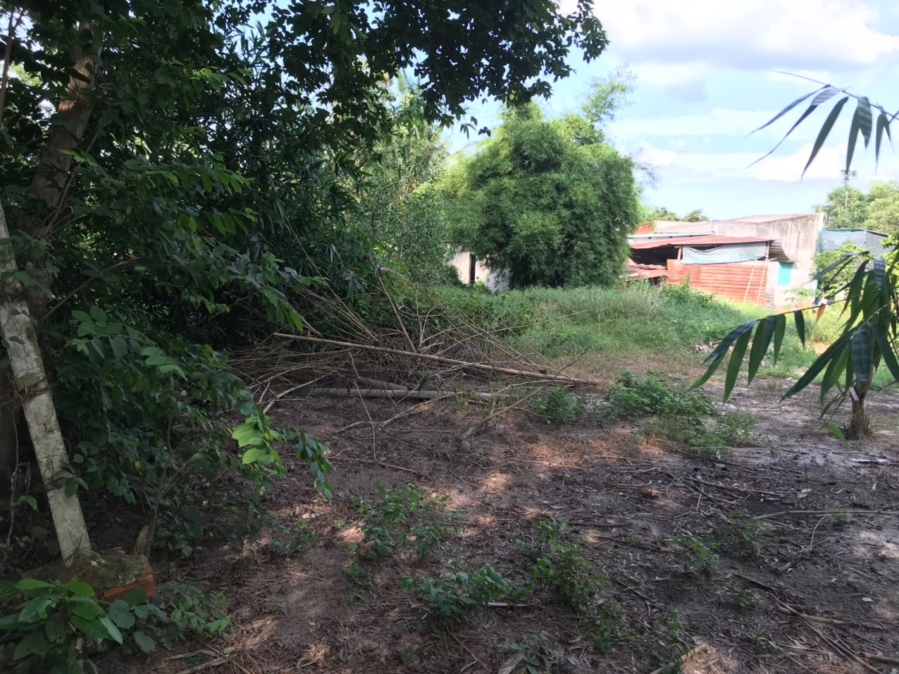 Bán đất Củ Chi, TPHCM